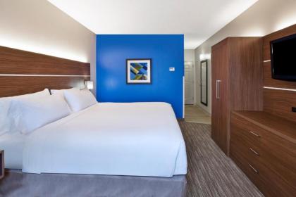 Holiday Inn Express Hotel & Suites Alcoa Knoxville Airport an IHG Hotel - image 10