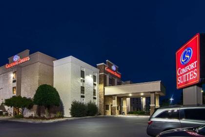 Comfort Suites Airport Alcoa - image 8