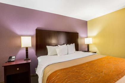 Comfort Inn Alexandria - image 11