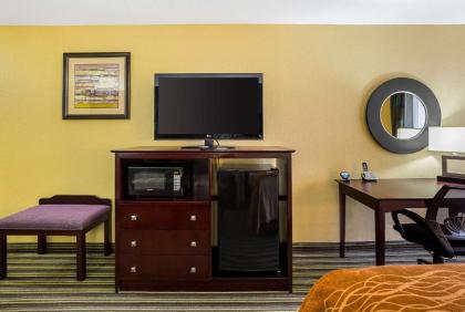 Comfort Inn Alexandria - image 7