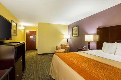 Comfort Inn Alexandria - image 9