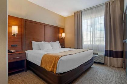 Comfort Suites Alexandria - image 10