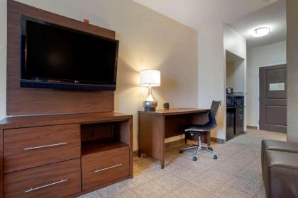 Comfort Suites Alexandria - image 11