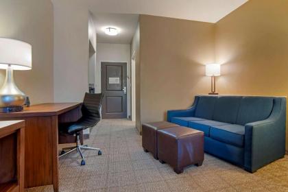 Comfort Suites Alexandria - image 12