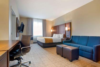 Comfort Suites Alexandria - image 13