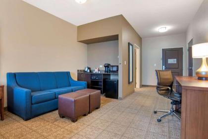 Comfort Suites Alexandria - image 14