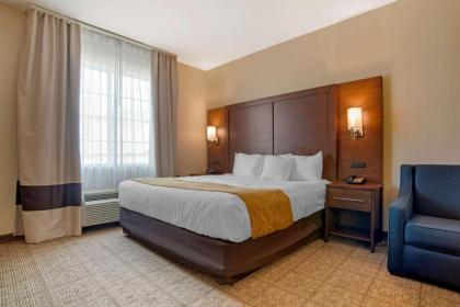 Comfort Suites Alexandria - image 15