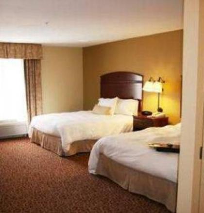 Hampton Inn and Suites Alexandria - image 3