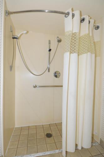 Hampton Inn Alexandria/Old Town - image 3