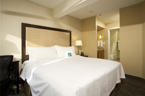 Homewood Suites by Hilton Alexandria - image 4