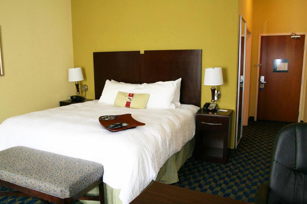 Hampton Inn Alice - image 7