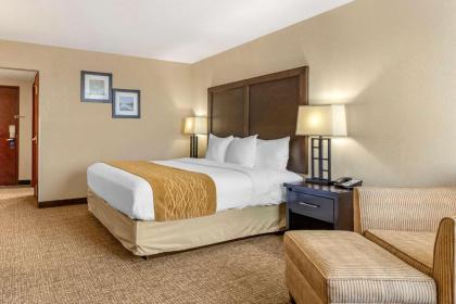 Comfort Inn & Suites Allen Park/Dearborn - image 3