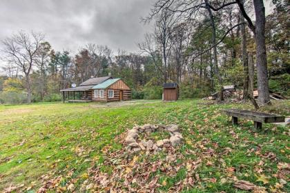 Remote 1901 Studio Cabin with Loft - Pets Allowed! - image 14