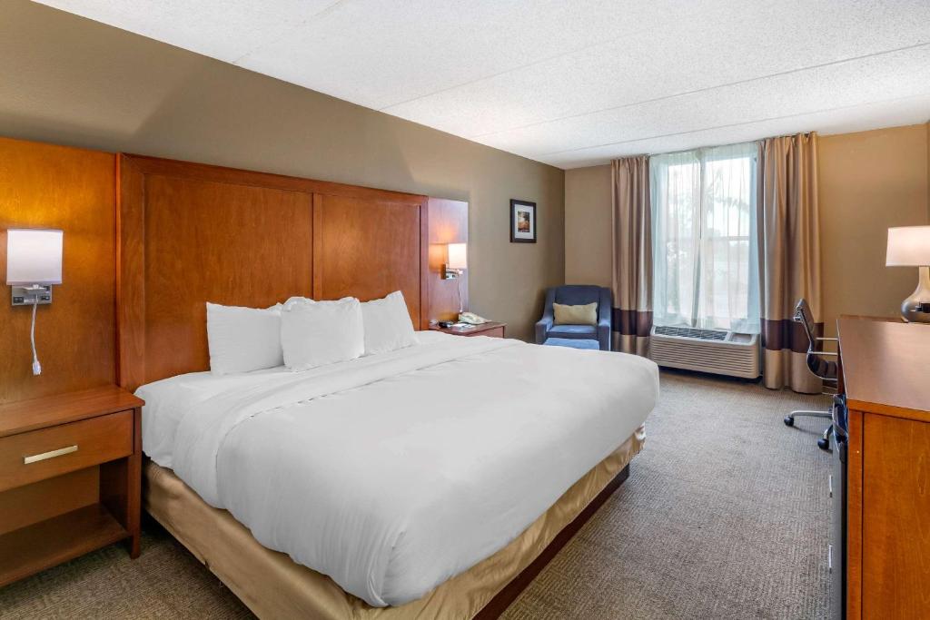 Comfort Inn Alliance - image 6