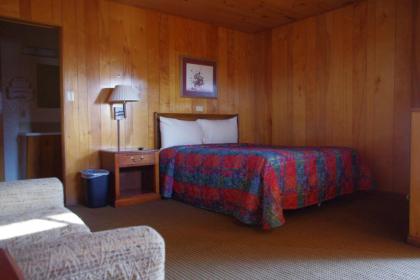 Western Holiday Motel - image 3