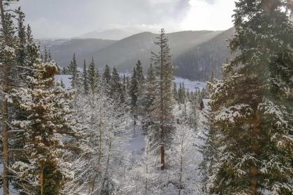 Alma Home with Mtn Views about 20 Mi to Breckenridge - image 13