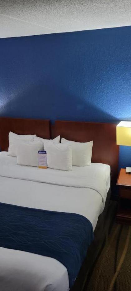 Comfort Inn Alpharetta-Atlanta North - image 19