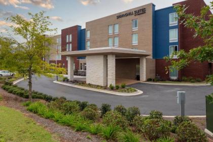 SpringHill Suites by marriott Atlanta AlpharettaRoswell Alpharetta