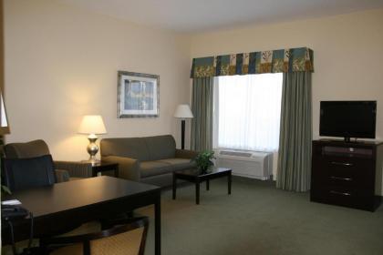 Hampton Inn Alpine - image 15