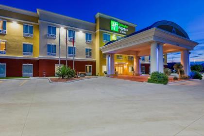 Holiday Inn Express and Suites Alpine an IHG Hotel - image 11