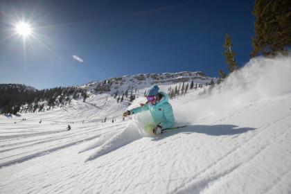 The Lodge at Snowbird - image 8