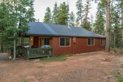 Ute Mountain Cabin - image 9