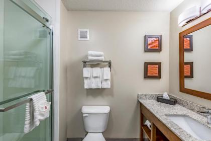 Comfort Inn Altoona-Des Moines - image 10