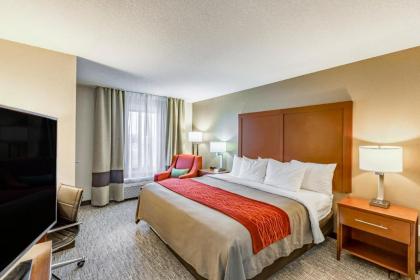 Comfort Inn Altoona-Des Moines - image 2