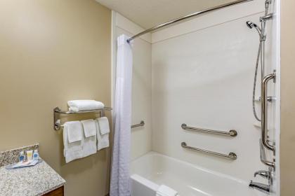 Comfort Inn Altoona-Des Moines - image 8