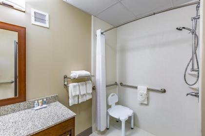 Comfort Inn Altoona-Des Moines - image 9