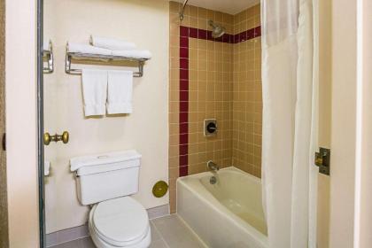 Quality Inn & Suites - image 10