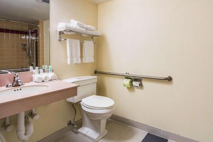 Quality Inn & Suites - image 7