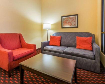 Comfort Suites Altoona - image 4