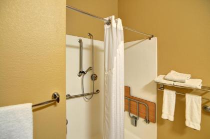 Holiday Inn Express Hotel and Suites Altus an IHG Hotel - image 10