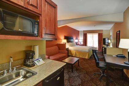 Holiday Inn Express Hotel and Suites Altus an IHG Hotel - image 13