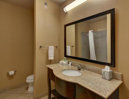 Holiday Inn Express Hotel and Suites Altus an IHG Hotel - image 8