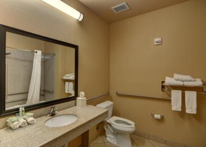 Holiday Inn Express Hotel and Suites Altus an IHG Hotel - image 9