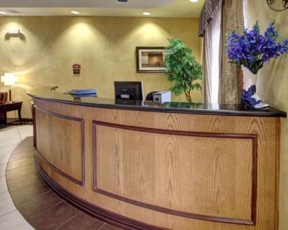 Comfort Inn & Suites Alvarado - image 11