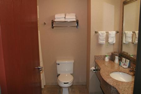 Hampton Inn and Suites Amarillo West - image 4