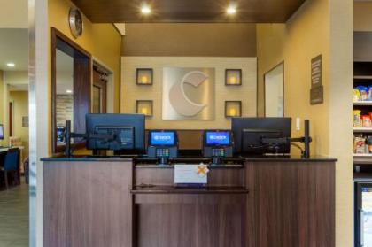 Comfort Inn & Suites Amarillo - image 3