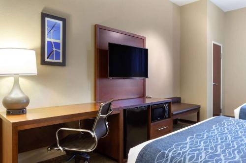 Comfort Inn & Suites Amarillo - image 4