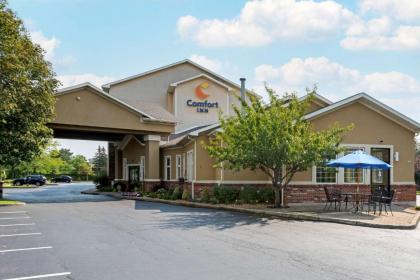 Comfort Inn University Amherst New York