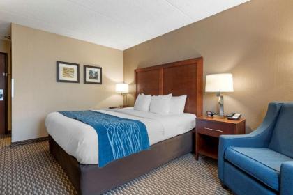 Comfort Inn University - image 10