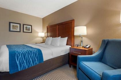 Comfort Inn University - image 11