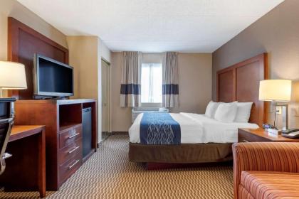 Comfort Inn University - image 17