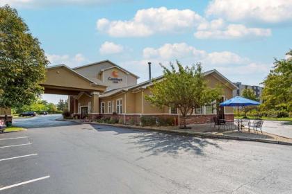 Comfort Inn University - image 3