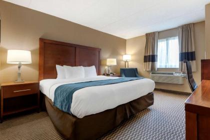 Comfort Inn University - image 9