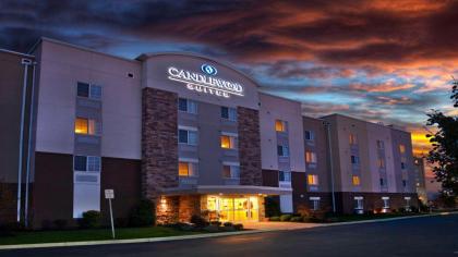 Candlewood Suites Buffalo Amherst an IHG Hotel - image 10