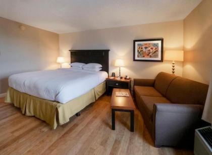 DoubleTree by Hilton Buffalo-Amherst - image 15