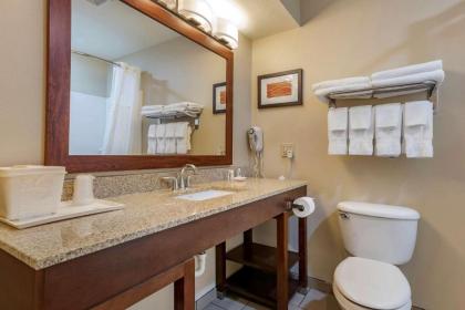 Comfort Inn Amite - image 13